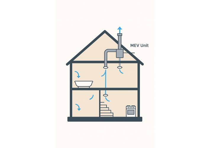 MEV Extraction in