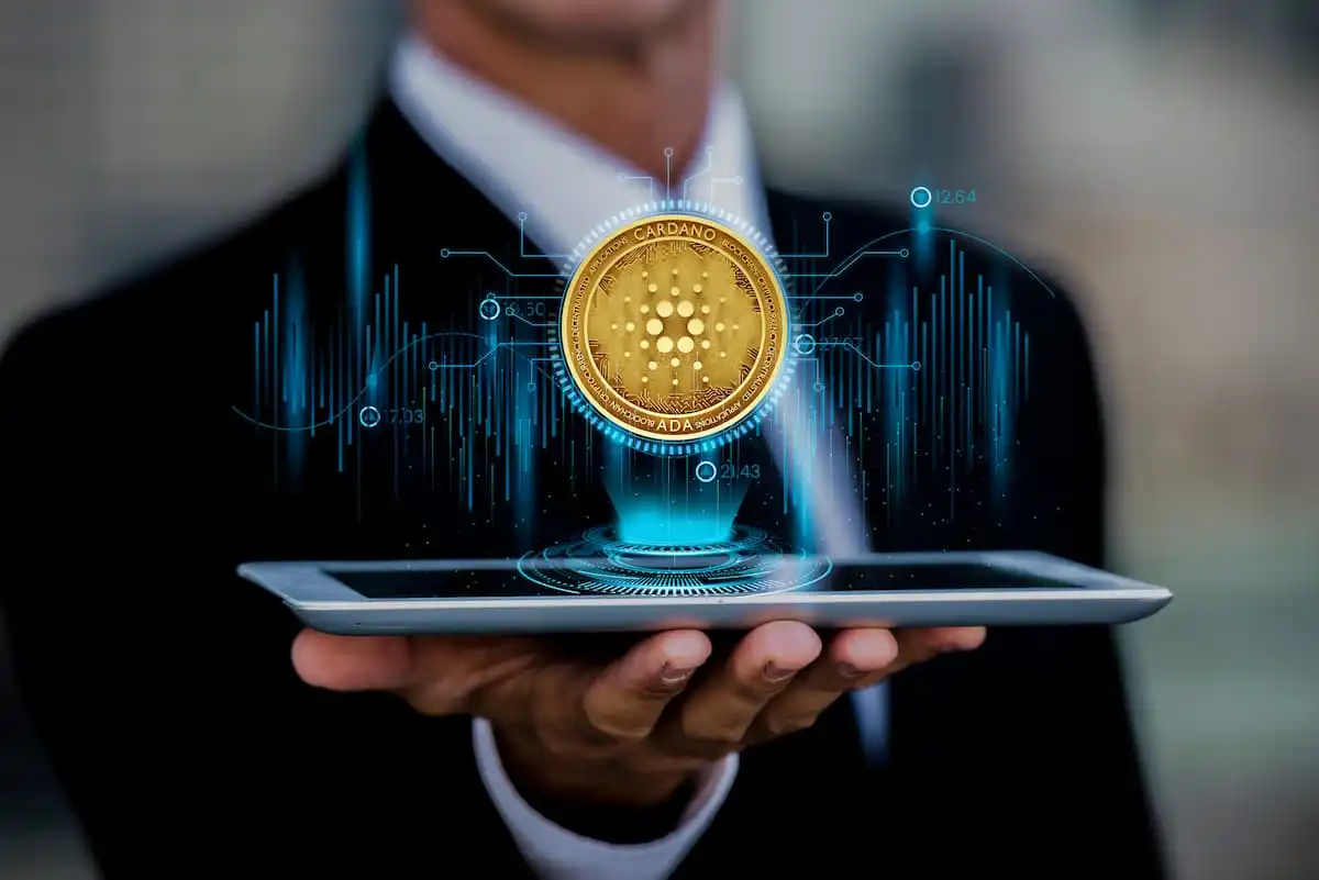 DeFi transparency and trust